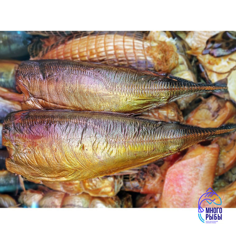 Ставрида холодного копчения