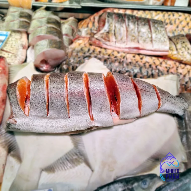 Форель без головы и хвоста