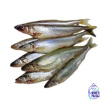 Свежая отборная балтийская корюшка