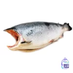 Кижуч потрошеный без головы 4-5 кг свежемороженый, весовой (кг)